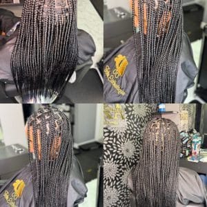 Vue de dos d'une tête avec des Box Braids longues et soignées.